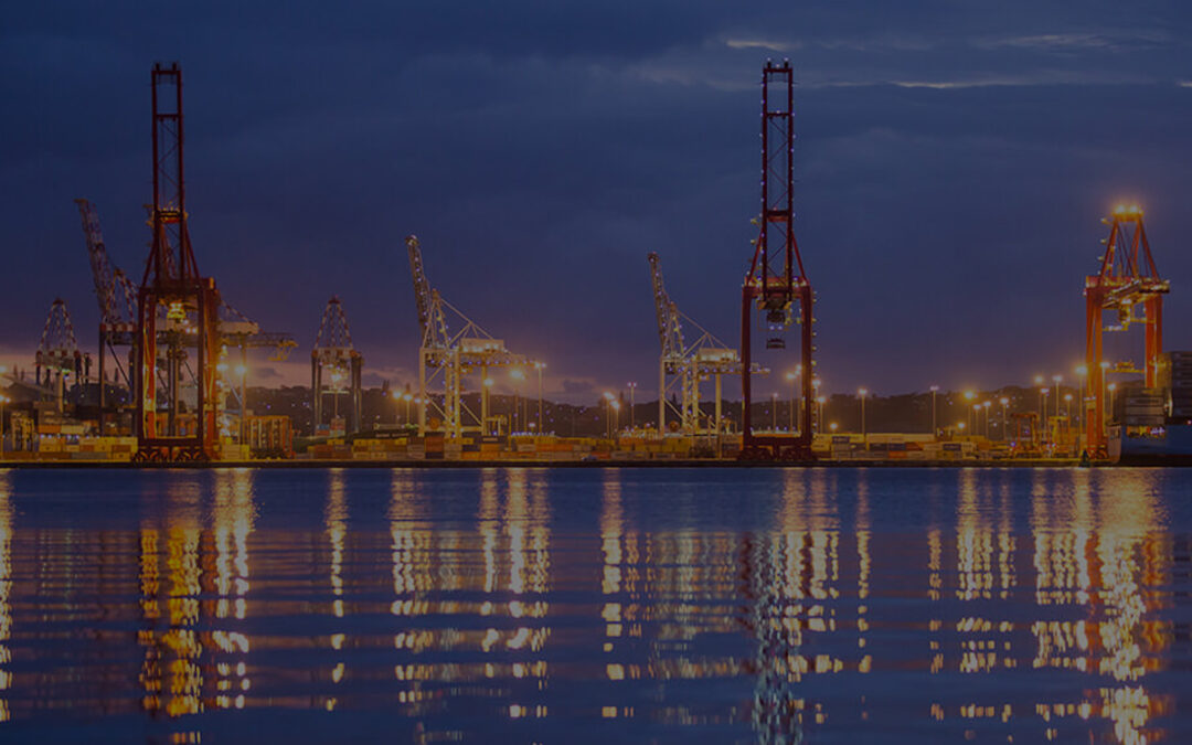 Commonwealth Secretariat report on impact of COVID-19 on maritime trade and post-pandemic recovery policies