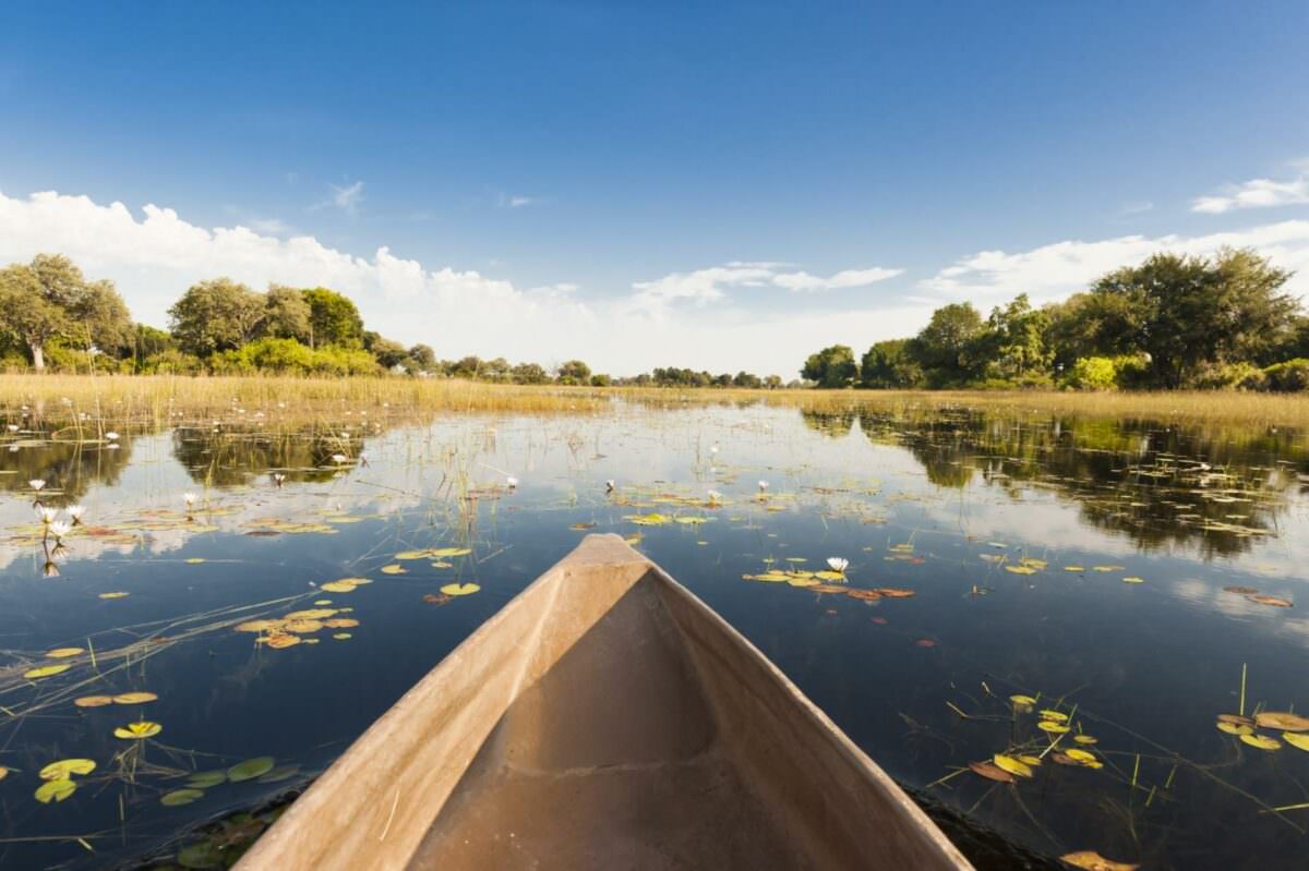 Dugout trip in Botswana. Canoe tour through flooded Okavango Delta, Botswana