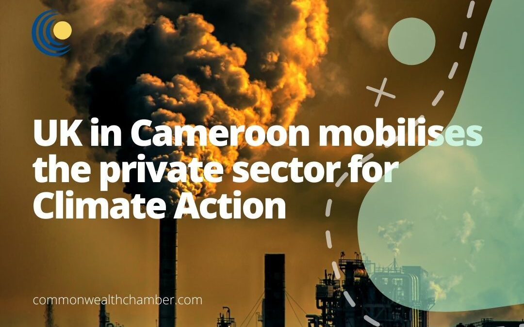 UK in Cameroon mobilises the private sector for Climate Action