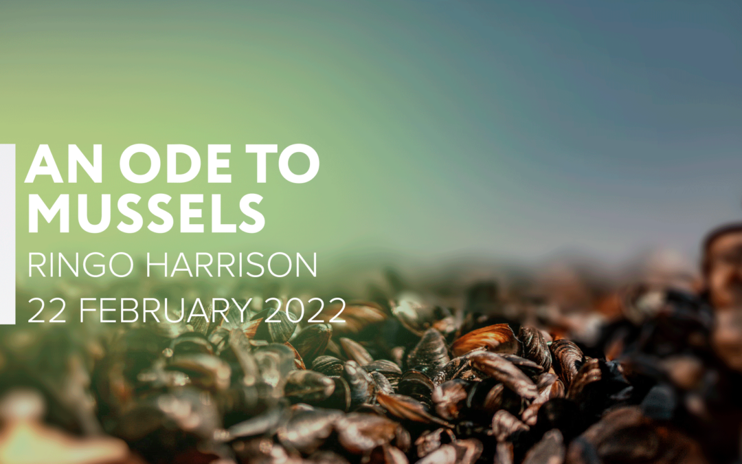 An Ode to Mussels