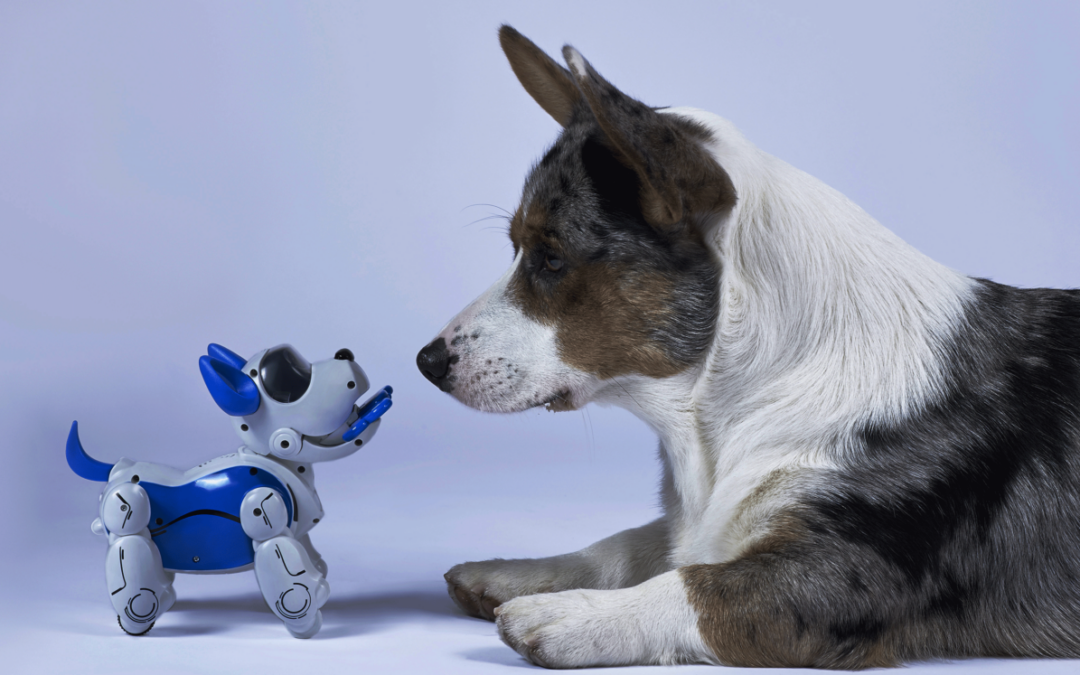 Commonwealth Trade and Digitalisation