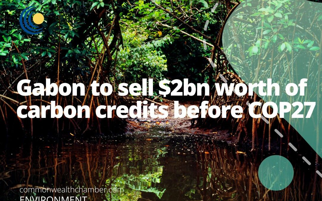 Gabon to sell $2bn worth of carbon credits before COP27