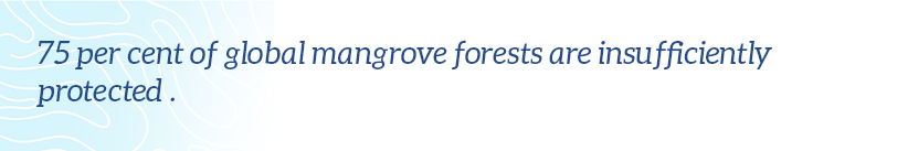 75 per cent of global