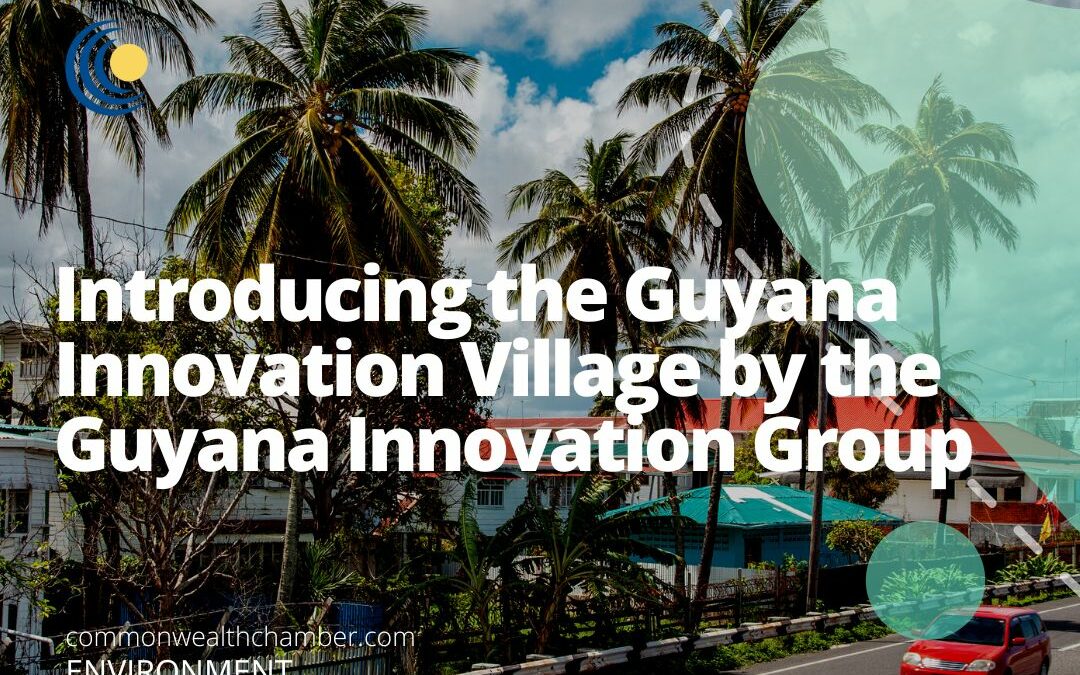 Introducing the Guyana Innovation Village by the Guyana Innovation Group