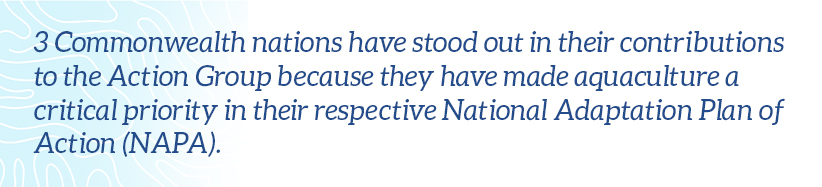 3 Commonwealth nations