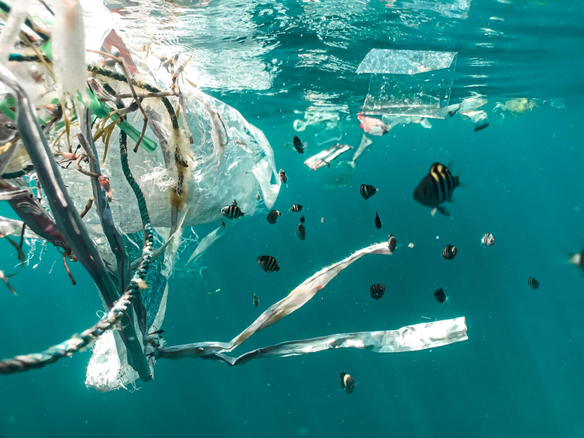 Commonwealth Blur Charter Progress Report