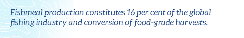 Fishmeal production