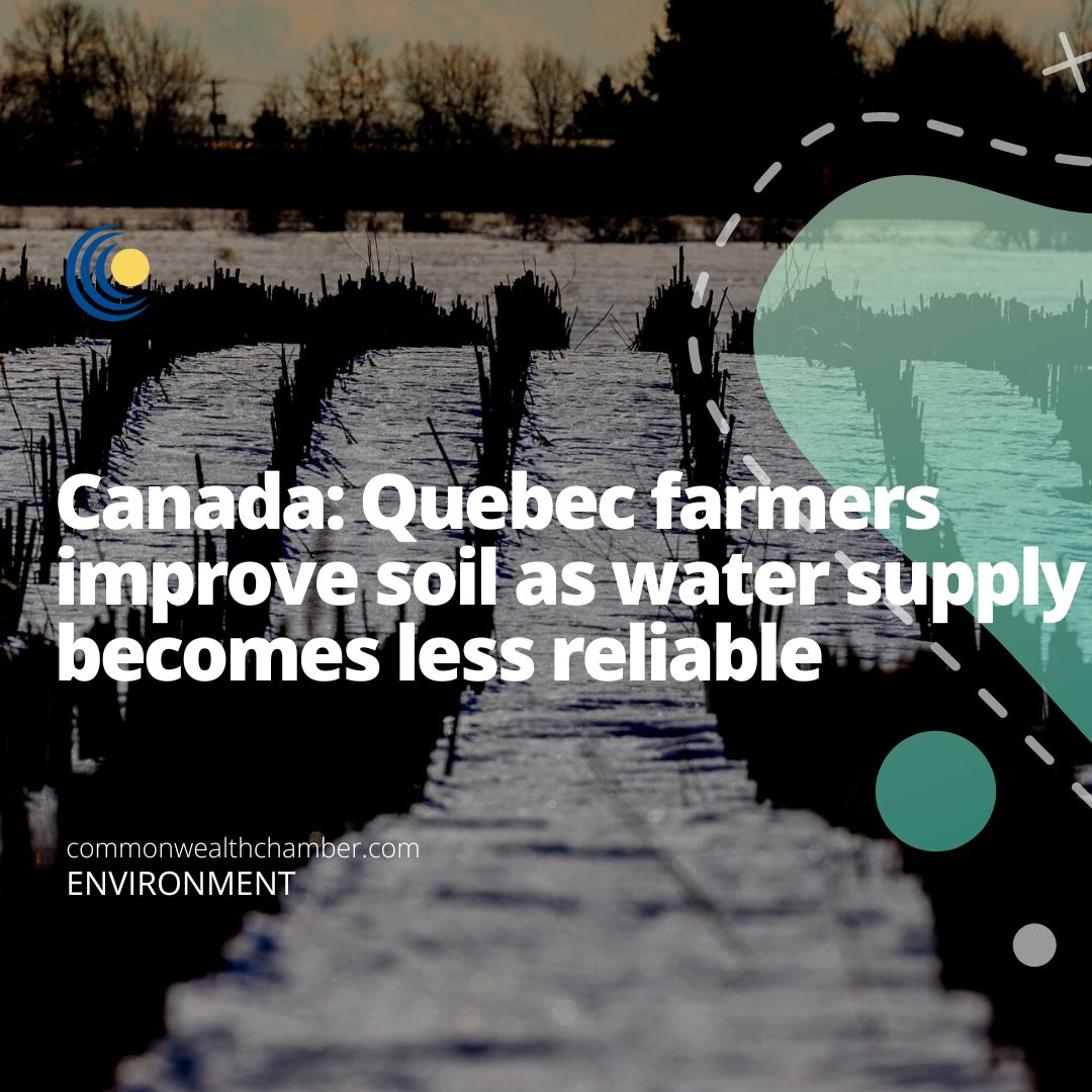 Quebec farmers improve soil as water supply becomes less reliable