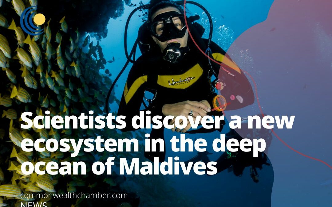 Scientists discover a new ecosystem in the deep ocean of Maldives