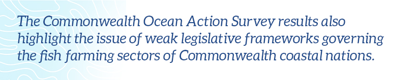 The Commonwealth Ocean