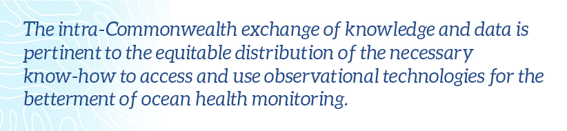 The intra-Commonwealth