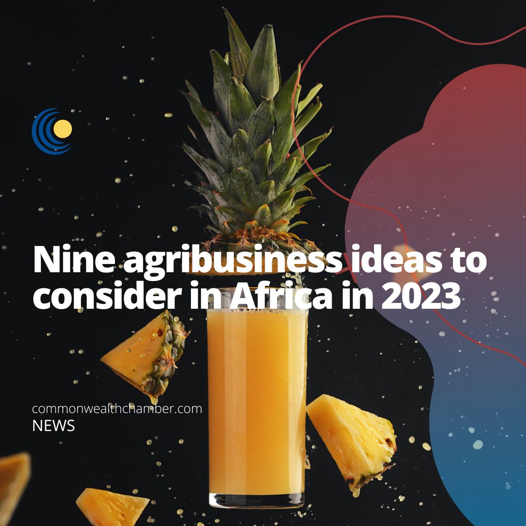 Nine agribusiness ideas to consider in Africa in 2023