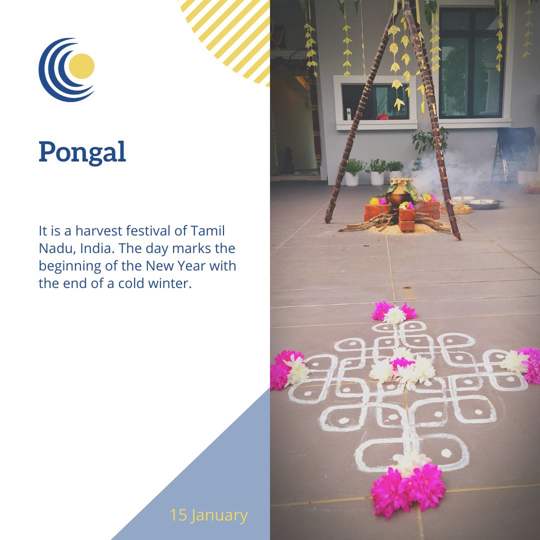 Pongal