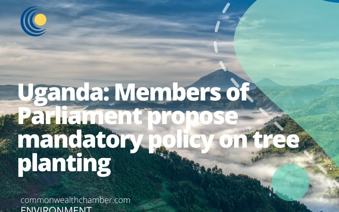 Uganda: Members of Parliament propose mandatory policy on tree planting