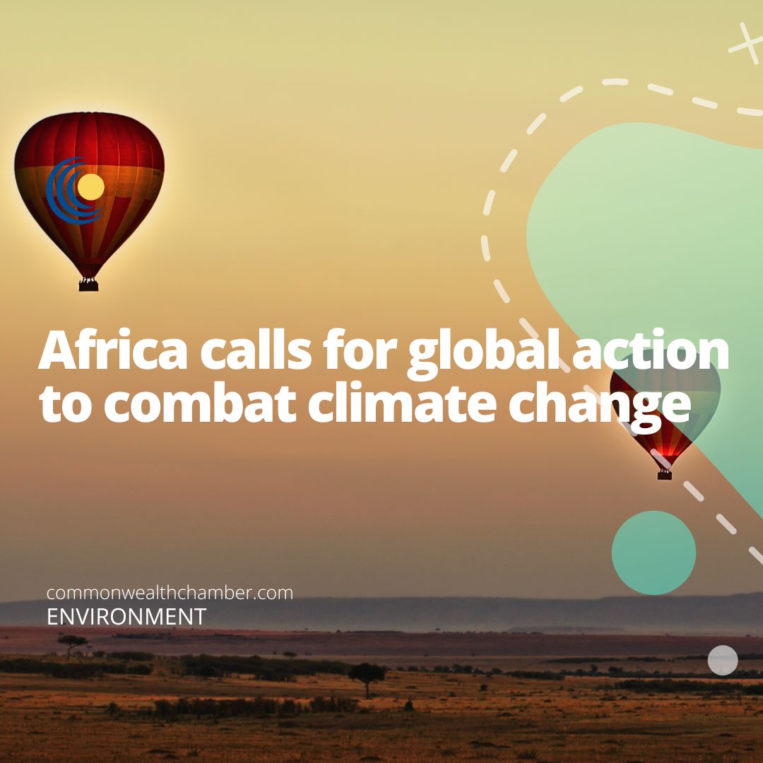 Africa calls for global action to combat climate change