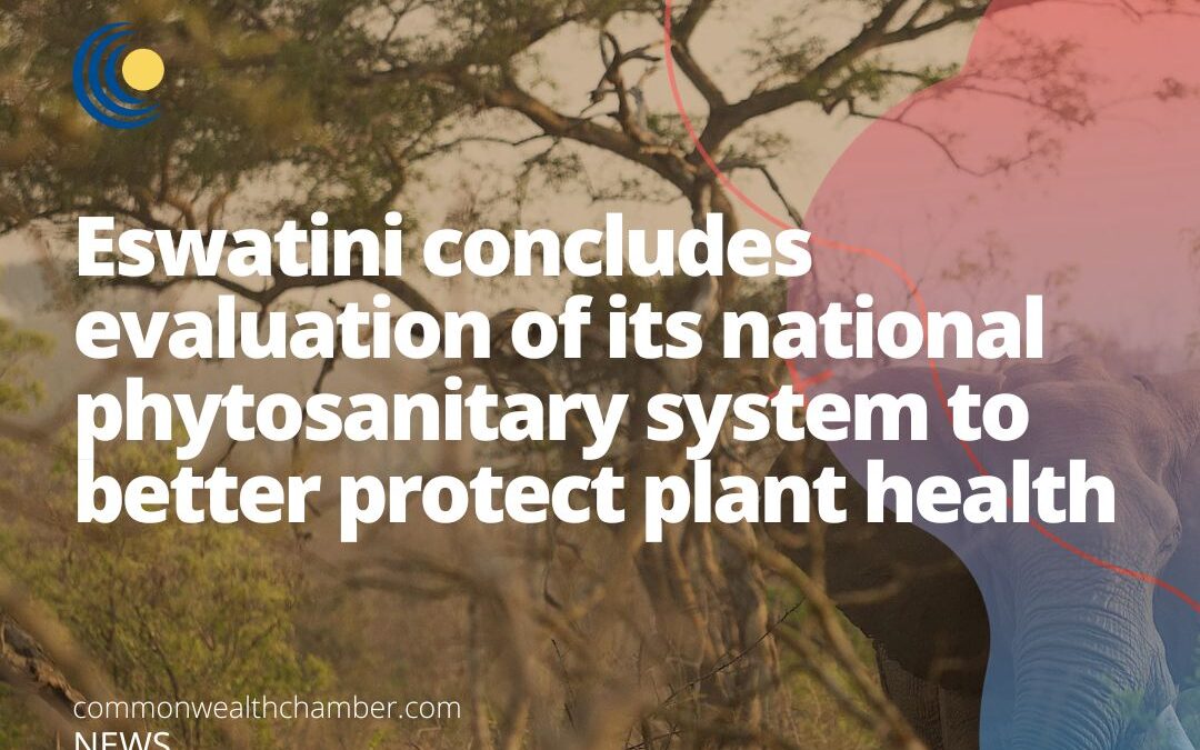 Eswatini concludes evaluation of its national phytosanitary system to better protect plant health