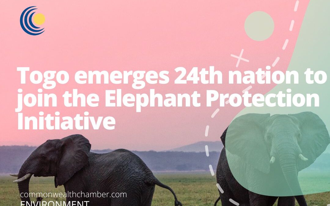 Togo emerges 24th nation to join the Elephant Protection Initiative