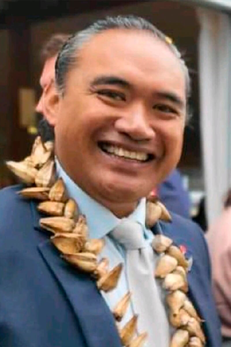 John-Loau africa healthcare network