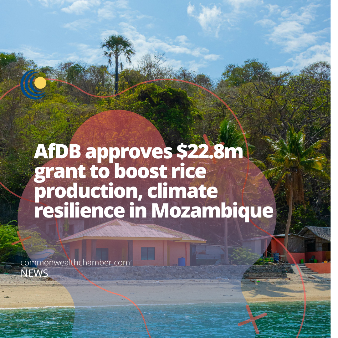 AfDB approves $22.8m grant to boost rice production, climate resilience in Mozambique